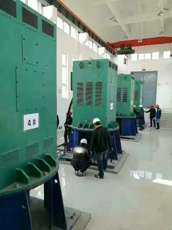 鄂温克某污水处理厂使用我厂的立式高压电机安装现场